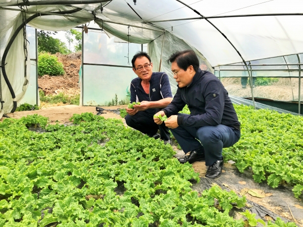 송석준 국회의원이 이천의 한 시설채소 재배 농가를 방문해 농민과 대화를 나누고 있다.
