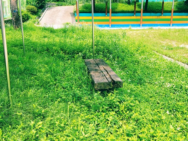 한 초등학교 운동장에 설치돼 있는 의자가 풀숲에 둘러 쌓여 있다.